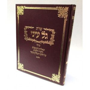שו"ת גל עיני חלק א