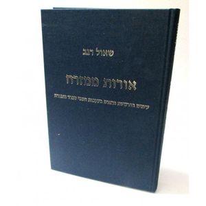 אורות ממזרח - רגב