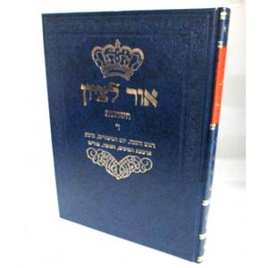 שו"ת אור לציון ד