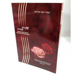 שבילי טהרה השקפה לטהרת המשפחה