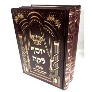 יוסף לקח מועדים ב"כ