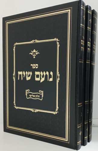 נועם שיח ג