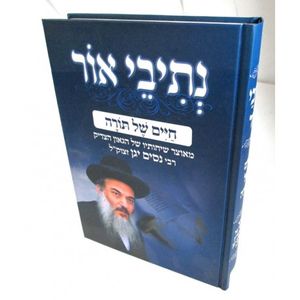 נתיבי אור - חיים של תורה