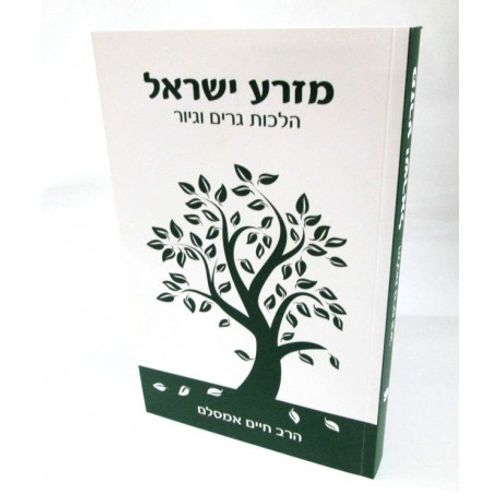 מזרע ישראל - גיור