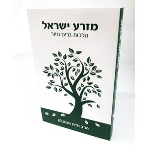מזרע ישראל - גיור
