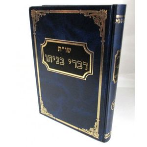דברי בניהו חלק כ"ד
