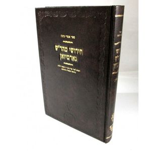 אמרי בינה - חידושים חולין