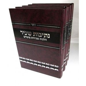נתיב יושר ד