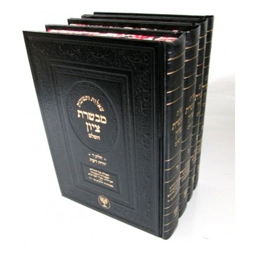 מבשרת ציון ד