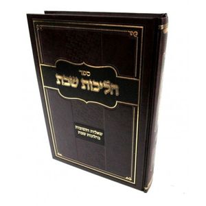 הליכות שבת ב