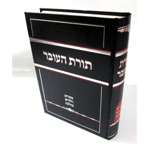 תורת העובר