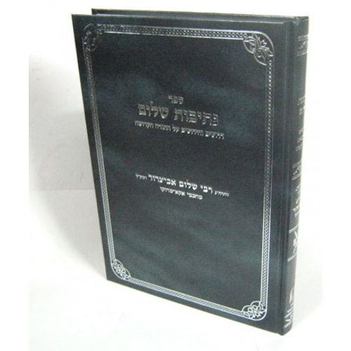 נתיבות שלום - אביצרור