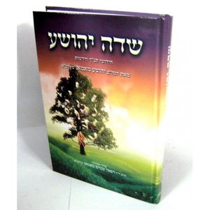 שדה יהושע