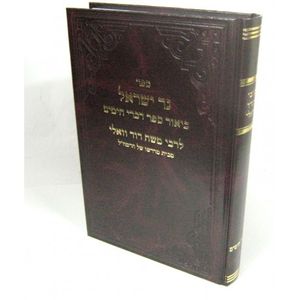 נר ישראל על דברי הימים