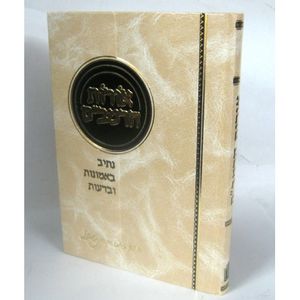 אורות הרמב"ם - על הרמב"ם