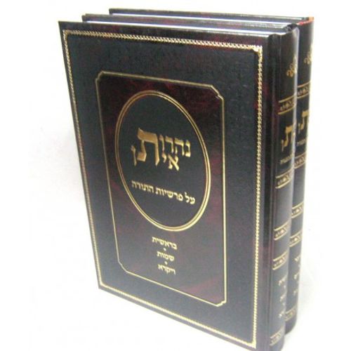 נהרות איתן ב
