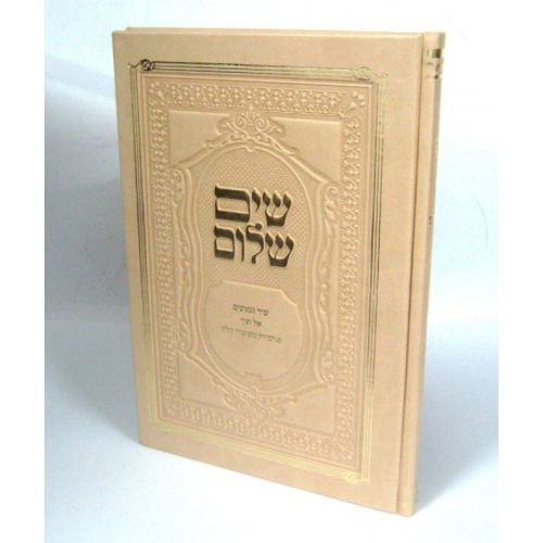 שים שלום - שיר געגועים