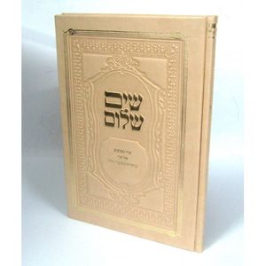 שים שלום - שיר געגועים