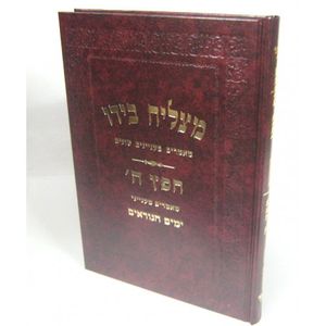 מצליח בידו - חפץ ה