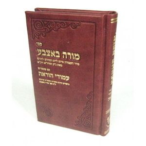 מורה באצבע עם עמודי הוראה - קטן