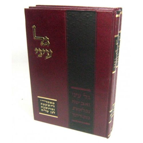גל עיני ב
