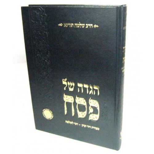 הגדה של פסח - ויגד לשלמה