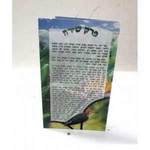 פרק שירה קטן (X10) - בני יששכר