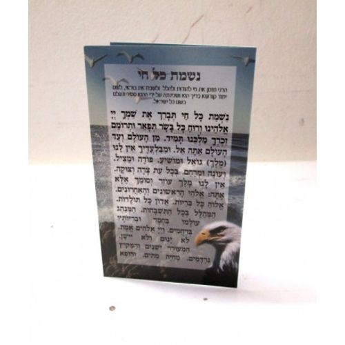 נשמת כל חי קטן (X10) - בני יששכר