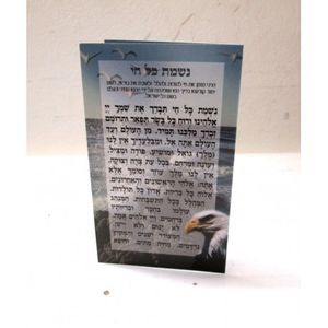 נשמת כל חי קטן (X10) - בני יששכר