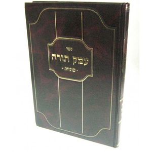 עמק תורה - סוגיות