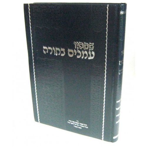 שתהיו עמלים בתורה