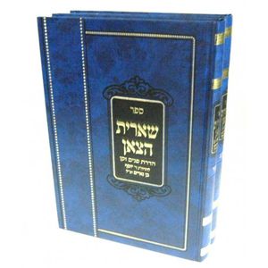 שו"ת שארית הצאן ג
