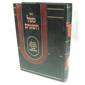 מטל השמים תשע"א ב