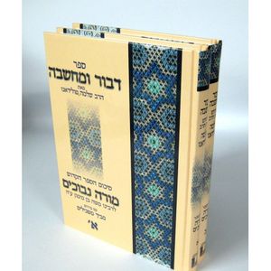 דבור ומחשבה מורה נבוכים חלק א