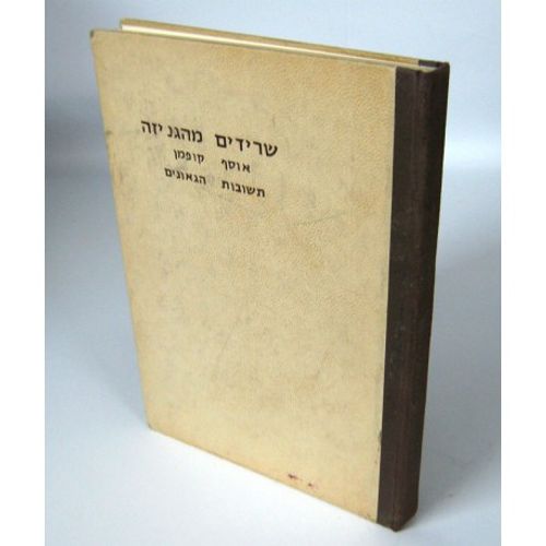 שרידים מהגניזה