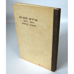 שרידים מהגניזה