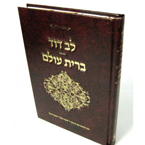 לב דוד - ברית עולם - החיד
