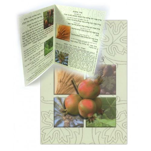 סדר ט