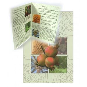 סדר ט"ו בשבט (x10) - בני יששכר