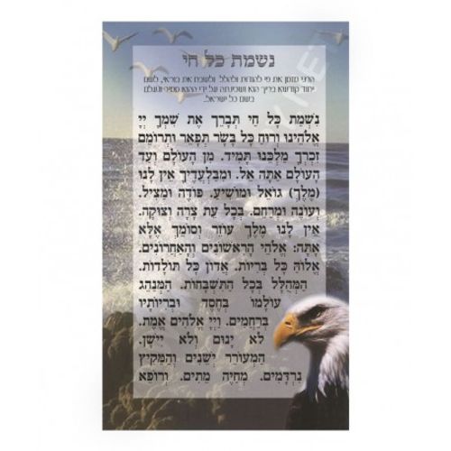 נשמת כל חי (x10) - בני יששכר