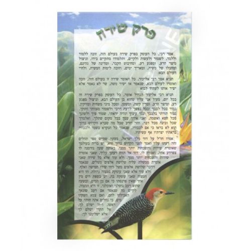 פרק שירה גדול (x10) - בני יששכר