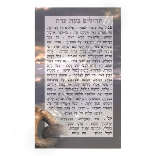 תהילים בעת צרה (x10) - בני יששכר