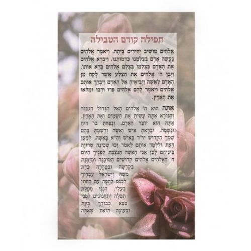 תפילה קודם הטבילה (x10) - בני יששכר