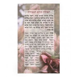 תפילה קודם הטבילה (x10) - בני יששכר