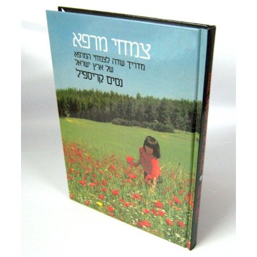 צמחי מרפא ארץ ישראל