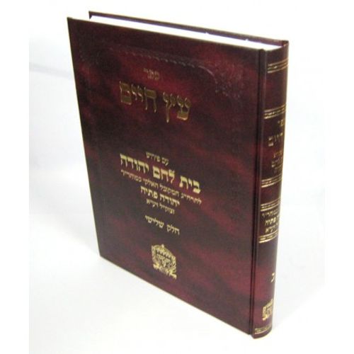עץ חיים ע