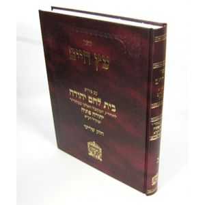 עץ חיים ע"פ בית לחם יהודה חלק ג