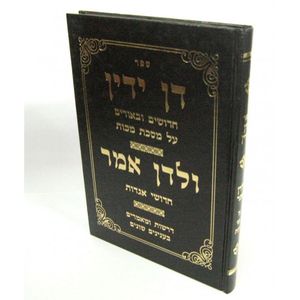 דן ידין - מכות