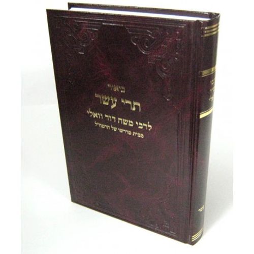 ביאור תרי עשר