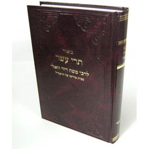 ביאור תרי עשר